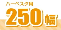 250幅